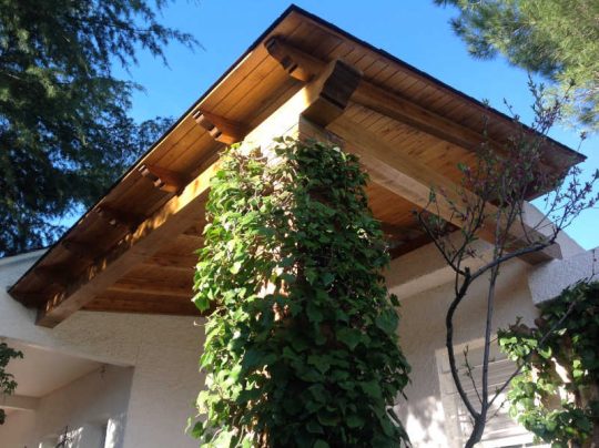 Plantas adecuadas para pérgolas - Bignonia rosa - Pérgolas La Arboleda