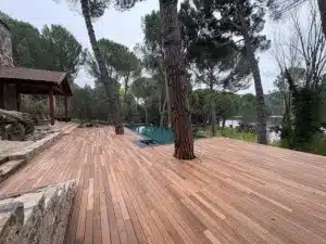 Tarima de madera de ipé junto a una piscina, con el tronco de un pino integrado en el suelo